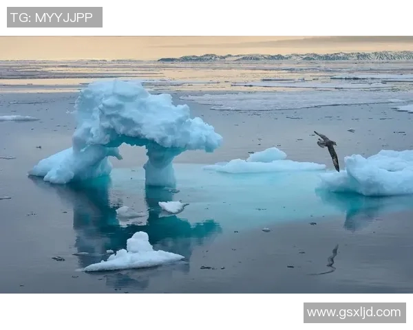 全球气候变化引发极端天气频发 各国应对措施与挑战并存