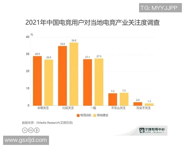 V5战队在数据分析中的耐力表现探讨与深度解读